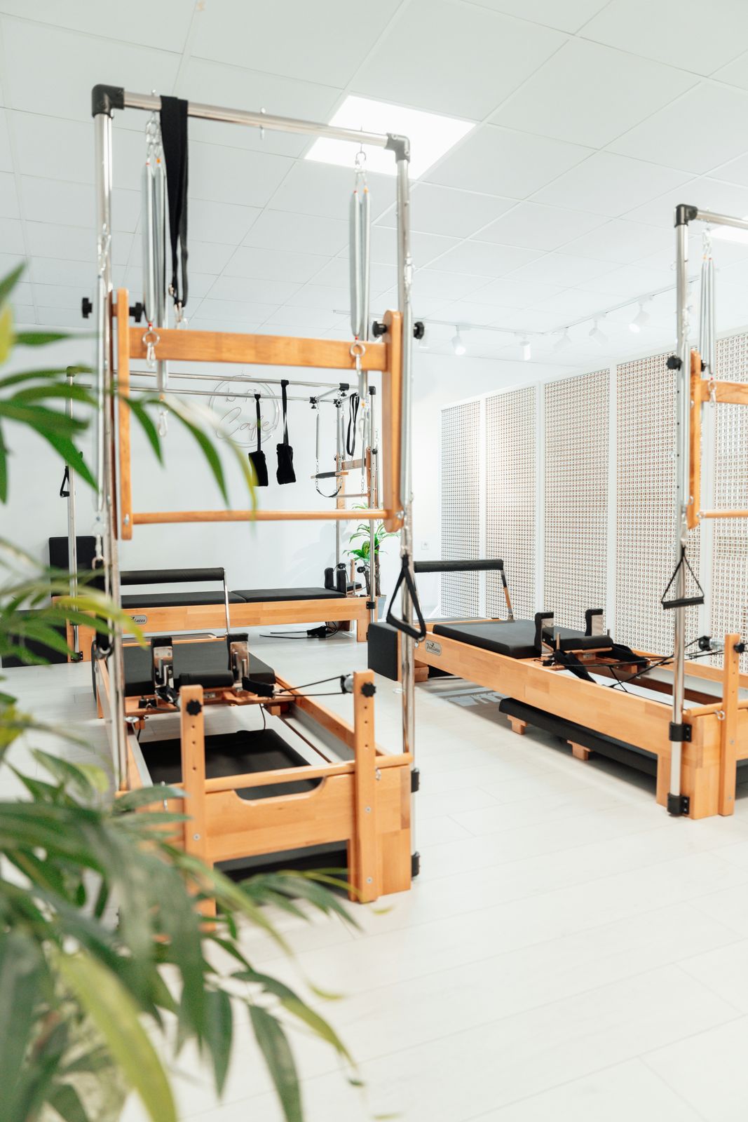 Sala do estúdio com aparelhos de pilates e plantas